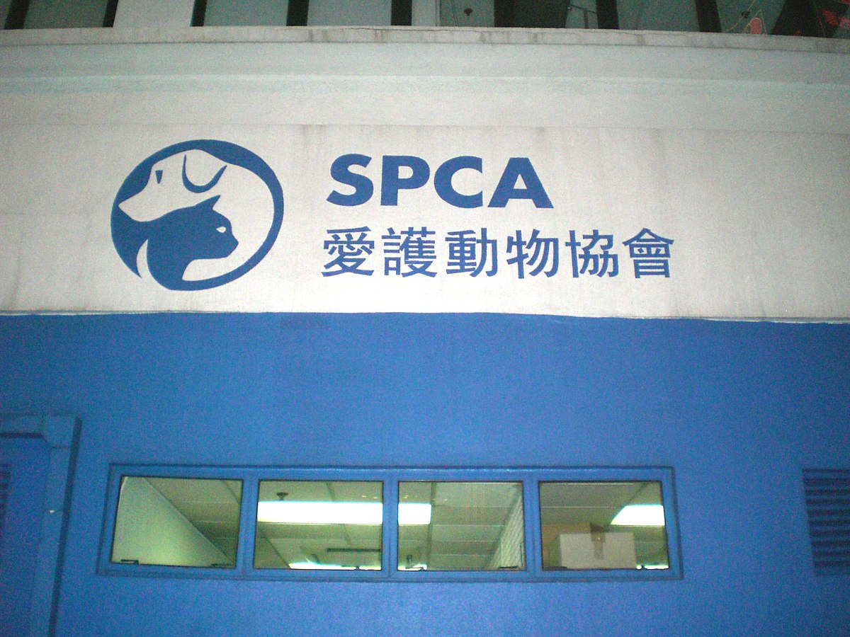 SPCA (Society for the Prevention of Cruelty to Animals) Hong Kong